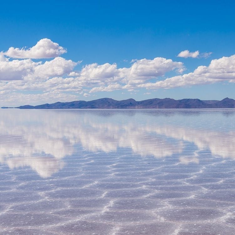 Salt of the Sky