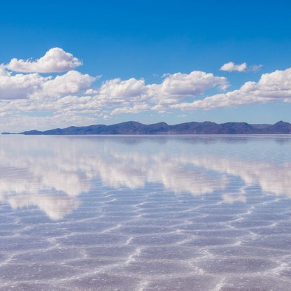 Salt of the Sky